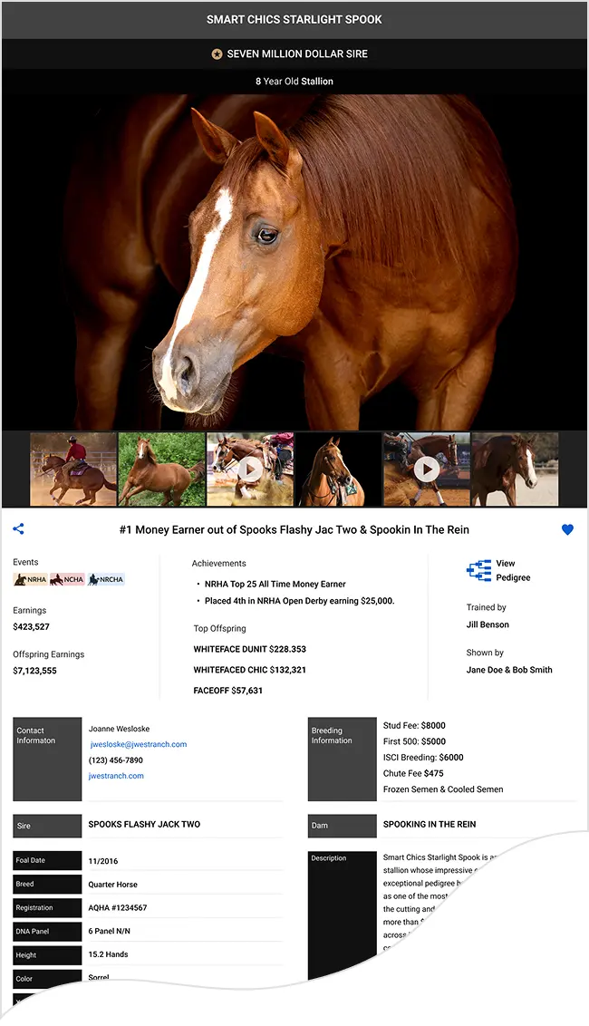 Standard horse ad sample.