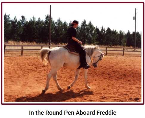 In the Round Pen Aboard Freddie: Joanne riding Freddie in an outdoor arena.